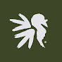 NWTFonline