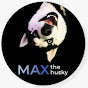 Max The Husky